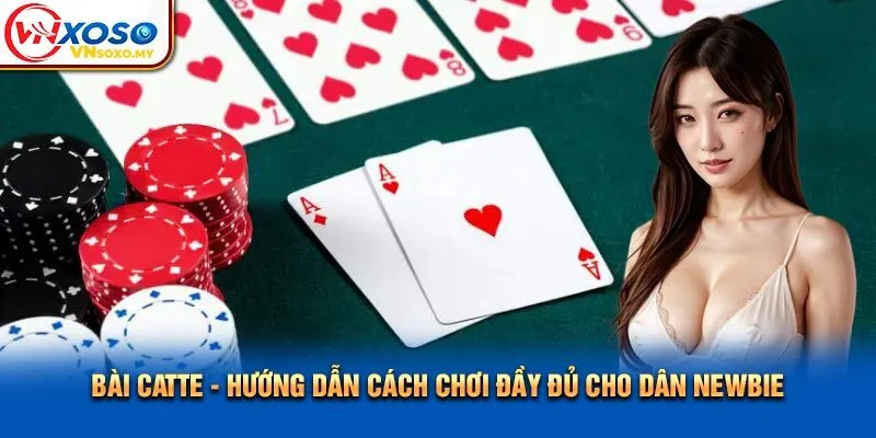 Bài Catte - Hướng Dẫn Cách Chơi Đầy Đủ Cho Dân Newbie