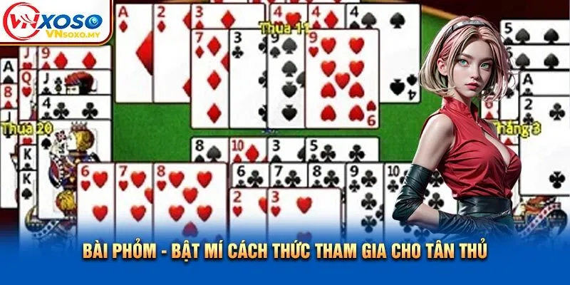 Bài Phỏm - Vnsoxo Bật Mí Cách Thức Tham Gia Cho Tân Thủ