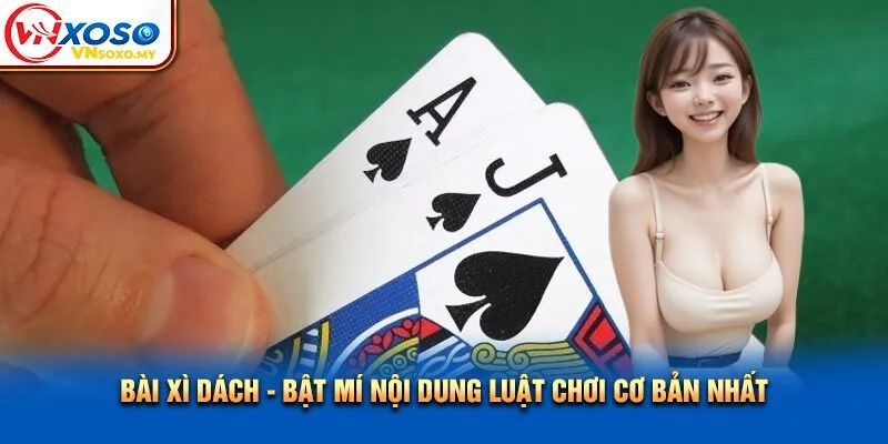 Bài Xì Dách - Bật Mí Nội Dung Luật Chơi Cơ Bản Nhất