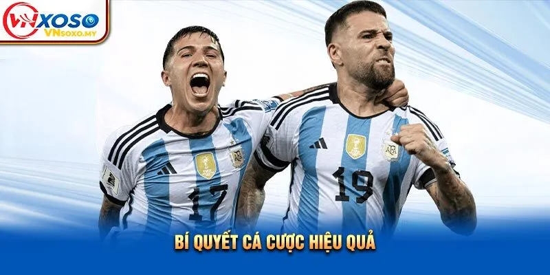 Bí quyết cá cược hiệu quả Bí quyết cá cược hiệu quả