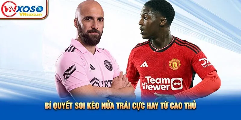 Bí quyết soi kèo nửa trái cực hay từ cao thủ Bí quyết soi kèo nửa trái cực hay từ cao thủ