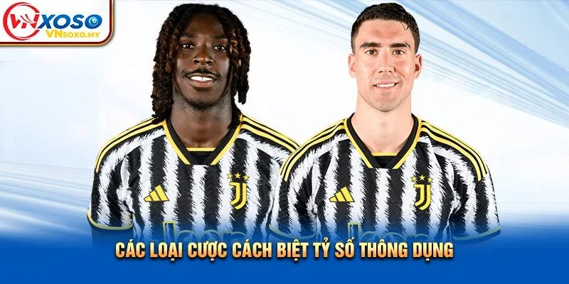 Các loại cược cách biệt tỷ số thông dụng Các loại cược cách biệt tỷ số thông dụng