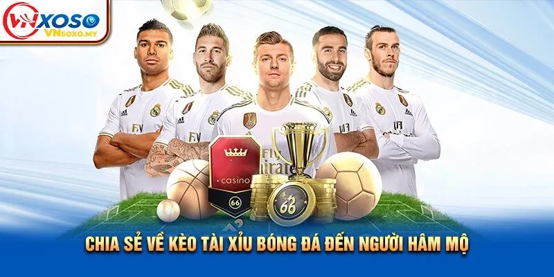 Chia sẻ về kèo tài xỉu bóng đá đến người hâm mộ