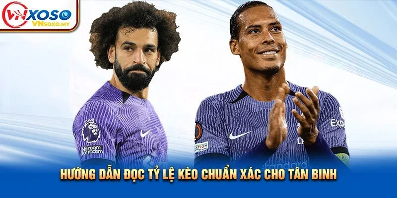 Hướng dẫn đọc tỷ lệ kèo chuẩn xác cho tân binh Hướng dẫn đọc tỷ lệ kèo chuẩn xác cho tân binh