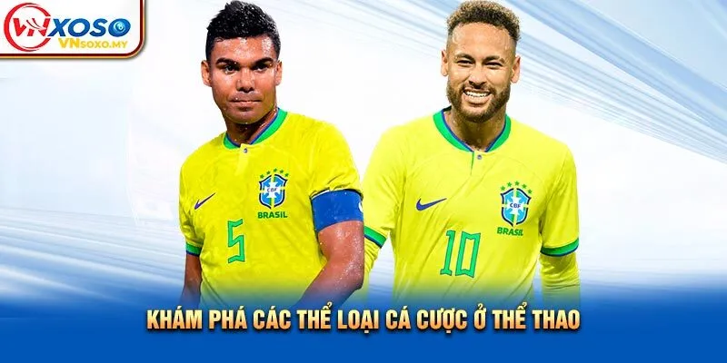 Khám phá các thể loại cá cược ở thể thao Khám phá các thể loại cá cược ở thể thao