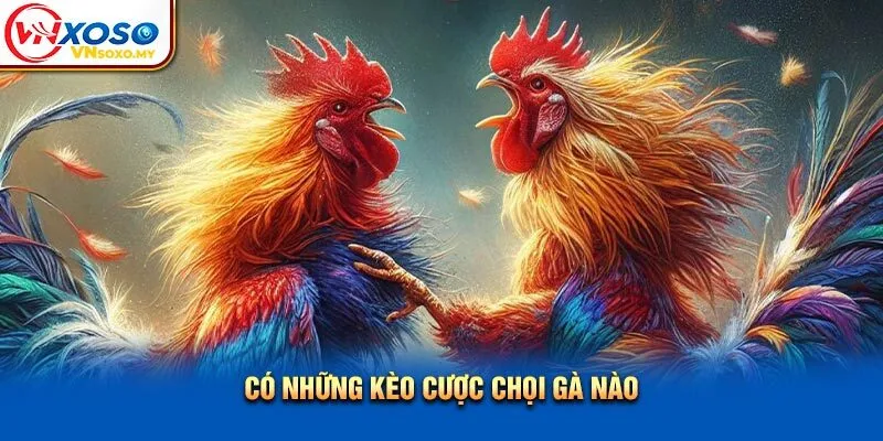 Có những kèo cược chọi gà nào? Có những kèo cược chọi gà nào?