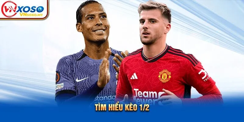 Tìm hiểu kèo 1/2 Tìm hiểu kèo 1/2