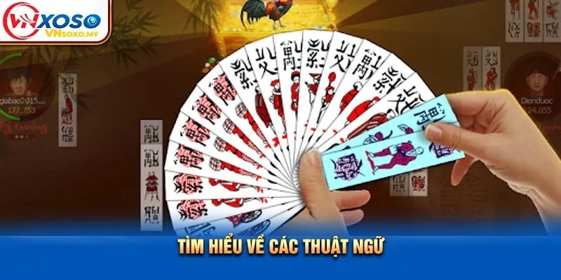 Tìm hiểu về các thuật ngữ