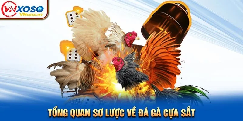 Tổng quan sơ lược về đá gà cựa sắt
