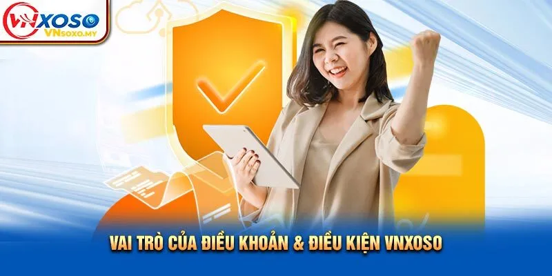 Vai trò của điều khoản & điều kiện VNSOXO Vai trò của điều khoản & điều kiện VNXOSO
